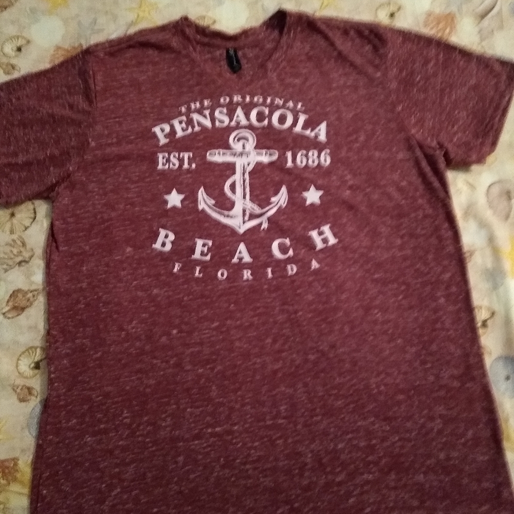 NEW. Pensacola Beach Tee, Brown, size XL but fits more like L